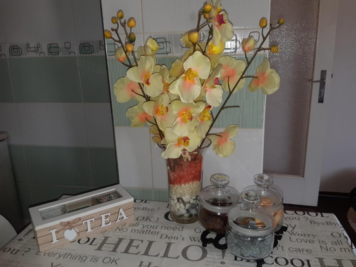Sweet Home Danube Liman Apartment Novi Sad Exterior foto